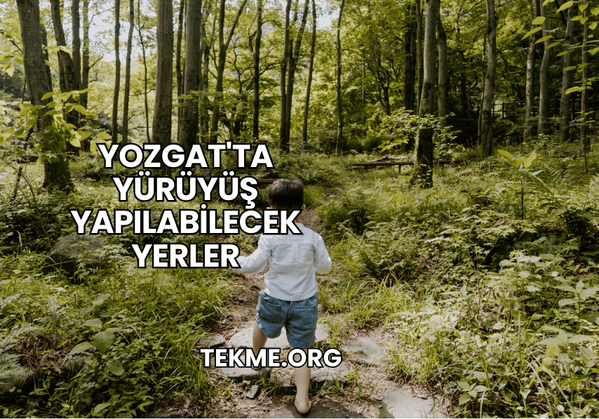 Yozgat'ta Yürüyüş Yapılabilecek Yerler