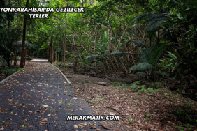 Afyonkarahisar'da Gezilecek Yerler