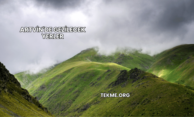 Artvin'de Gezilecek Yerler