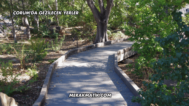 Çorum'da Gezilecek Yerler