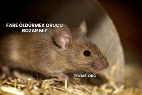 Fare Öldürmek Orucu Bozar mı?