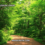 İzmir'de Gezilecek Yerler