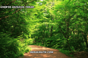 İzmir'de Gezilecek Yerler