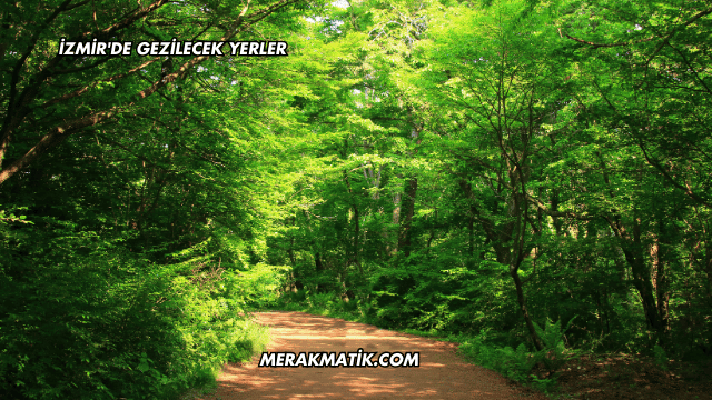 İzmir'de Gezilecek Yerler