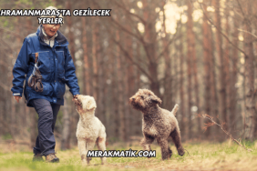 Kahramanmaraş'ta Gezilecek Yerler