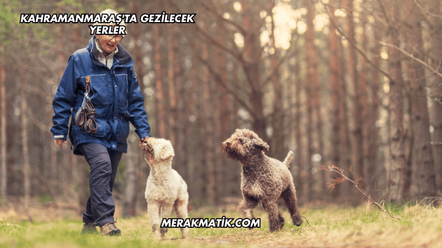 Kahramanmaraş'ta Gezilecek Yerler