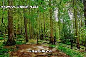 Kastamonu'da Gezilecek Yerler