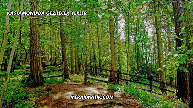 Kastamonu'da Gezilecek Yerler