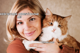 Kedi Sevmek Abdesti Bozar mı?