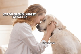 Köpeği Ellemek Abdesti Bozar mı?