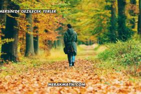Mersin'de Gezilecek Yerler