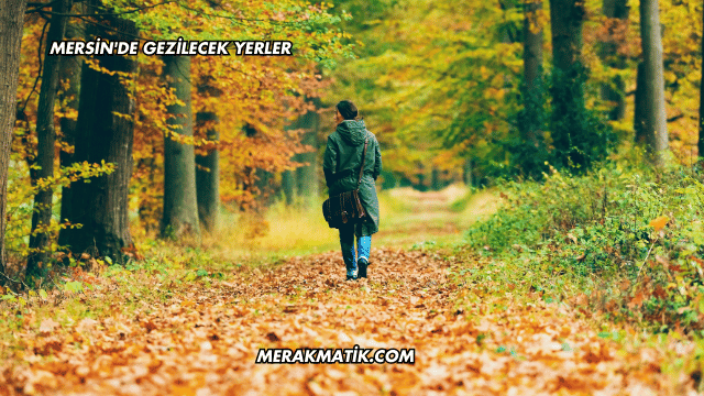 Mersin'de Gezilecek Yerler