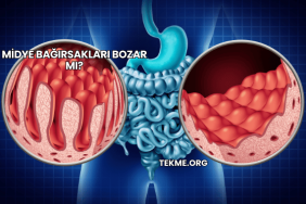 Midye Bağırsakları Bozar mı?