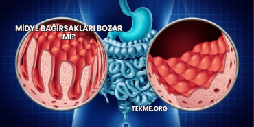 Midye Bağırsakları Bozar mı?