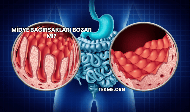 Midye Bağırsakları Bozar mı?
