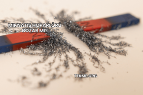 Mıknatıs Hoparlörü Bozar mı?