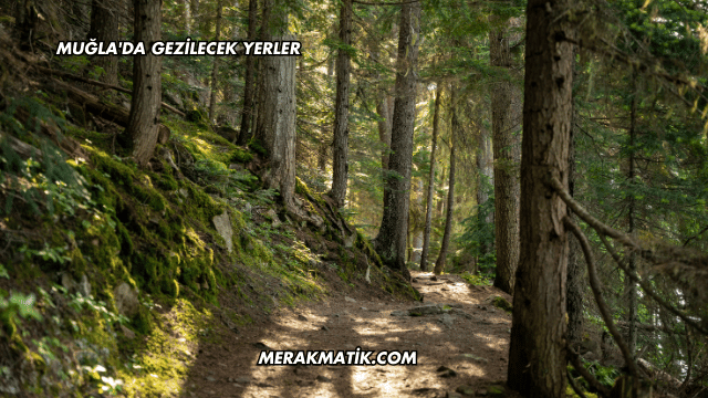Muğla'da Gezilecek Yerler