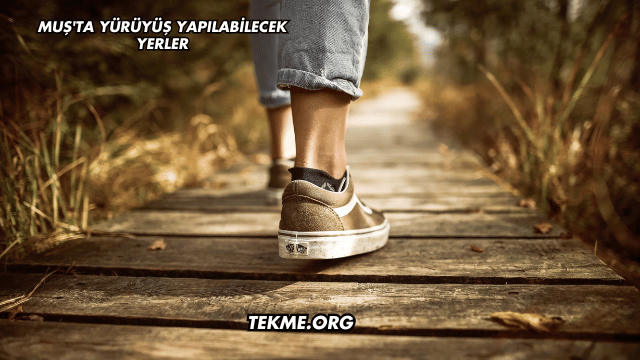 Muş'ta Yürüyüş Yapılabilecek Yerler