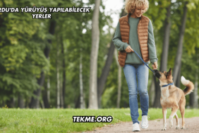 Ordu'da Yürüyüş Yapılabilecek Yerler