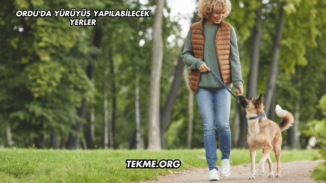 Ordu'da Yürüyüş Yapılabilecek Yerler