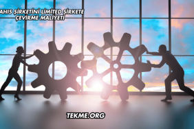 Şahıs Şirketini Limited Şirkete Çevirme Maliyeti
