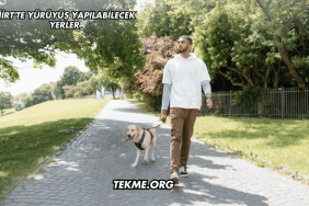 Siirt'te Yürüyüş Yapılabilecek Yerler