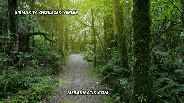 Şırnak'ta Gezilecek Yerler