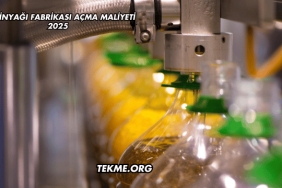 Zeytinyağı Fabrikası Açma Maliyeti 2025