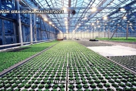 1 Dönüm Sera Isıtma Maliyeti 2025