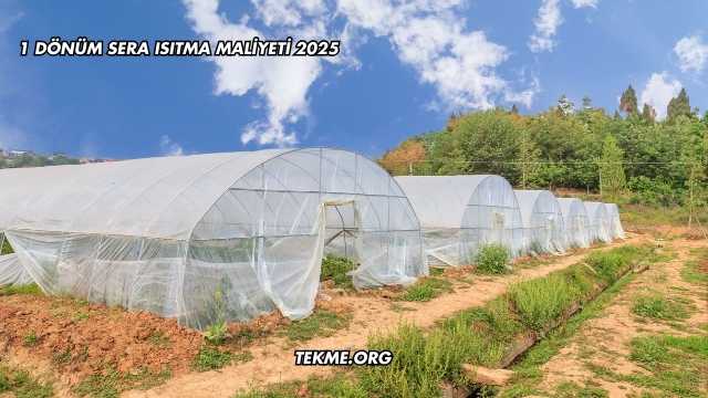 1 Dönüm Sera Isıtma Maliyeti 2025