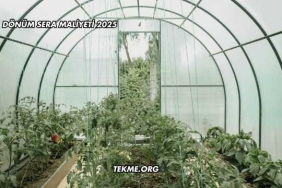 1 Dönüm Sera Maliyeti 2025