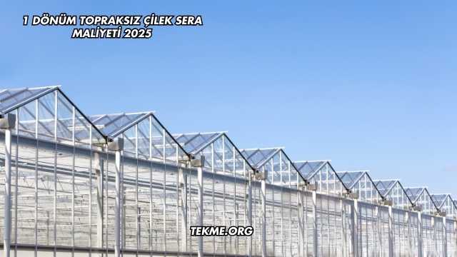 1 Dönüm Topraksız Çilek Sera Maliyeti 2025