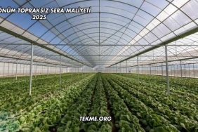 1 Dönüm Topraksız Sera Maliyeti 2025