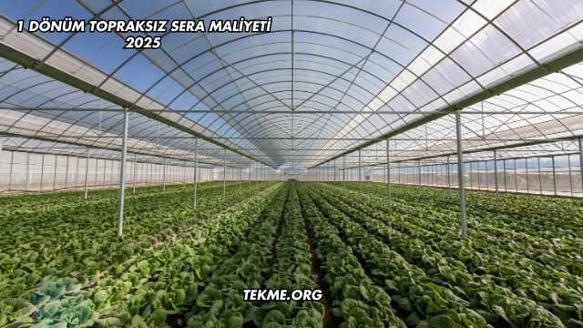 1 Dönüm Topraksız Sera Maliyeti 2025