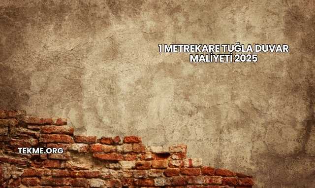 1 Metrekare Tuğla Duvar Maliyeti 2025