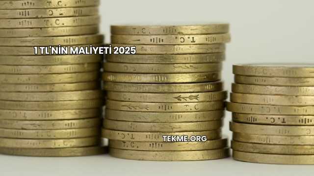 1 TL'nin Maliyeti 2025