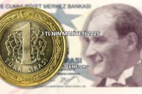 1 TL'nin Maliyeti 2025