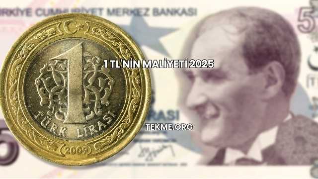 1 TL'nin Maliyeti 2025