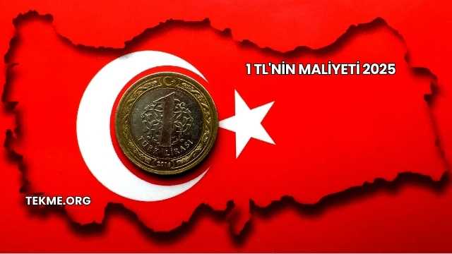 1 TL'nin Maliyeti 2025