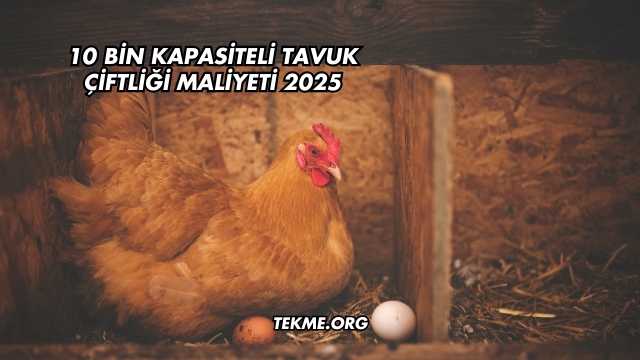 10 Bin Kapasiteli Tavuk Çiftliği Maliyeti 2025