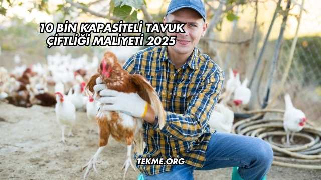 10 Bin Kapasiteli Tavuk Çiftliği Maliyeti 2025