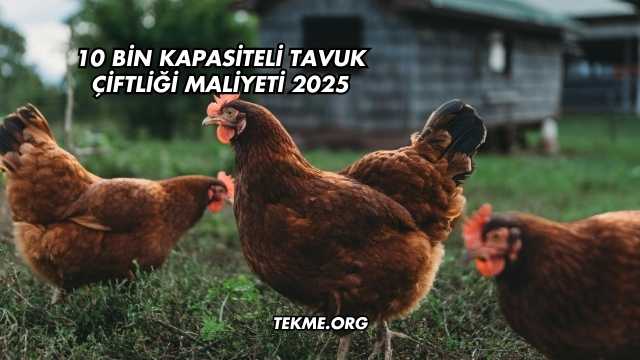 10 Bin Kapasiteli Tavuk Çiftliği Maliyeti 2025