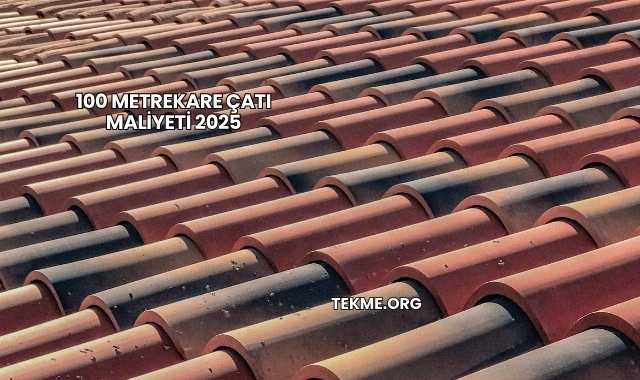 100 Metrekare Çatı Maliyeti 2025