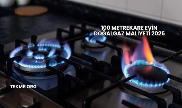 100 Metrekare Evin Doğalgaz Maliyeti 2025