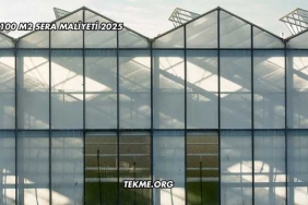 100 m2 Sera Maliyeti 2025