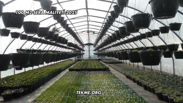 100 m2 Sera Maliyeti 2025