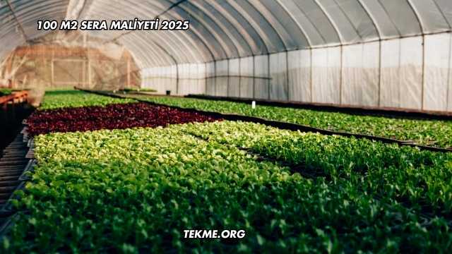 100 m2 Sera Maliyeti 2025