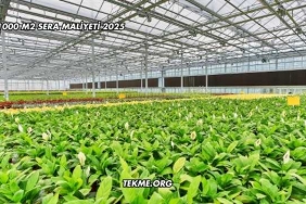 1000 M2 Sera Maliyeti 2025