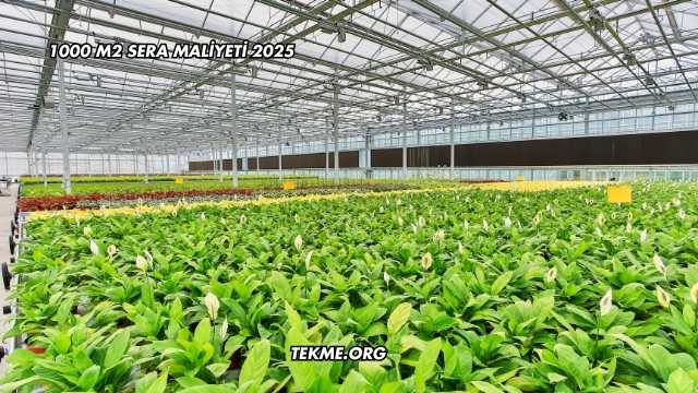 1000 M2 Sera Maliyeti 2025