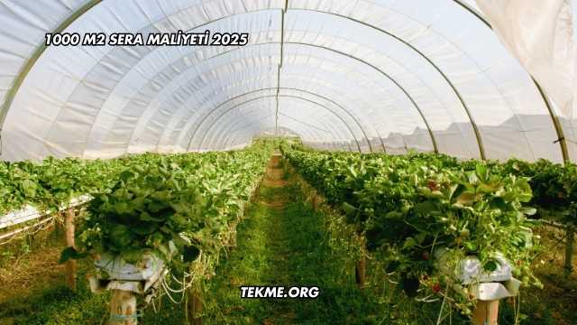 1000 M2 Sera Maliyeti 2025